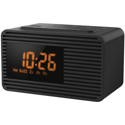 Panasonic Dual Alarm Clock Radio