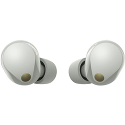 Sony Premium Noise Cancelling Earbuds - Silver