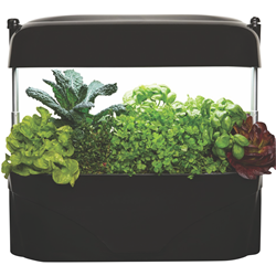 Vegepod Kitchen Garden Black