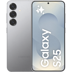 Samsung Galaxy S25 256GB Silver Shadow