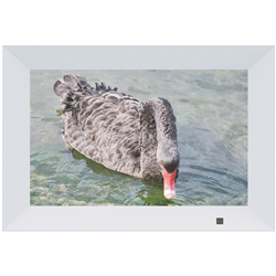 Qpix 10.1 Digital Photo Frame IPS Screen with Remote 32GB